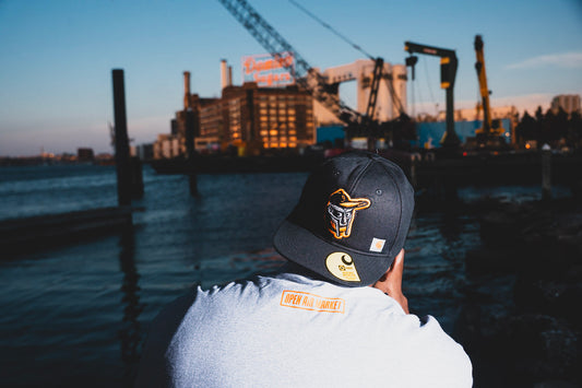 Bird gang T-shirt in Gray