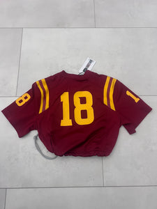 Upcycled cropped Iowa State football jersey.